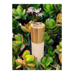 Ossola Skincare Prickly Pear & Marula Tinted Emulsion