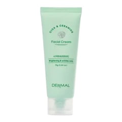 Dermal Korea Cica X Mide Facial Cream