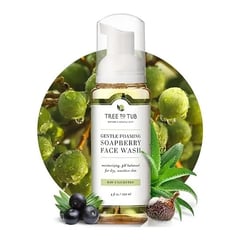 Tree to Tub Gentle Foaming Soapberry Face Wash
