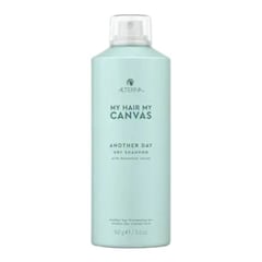 Alterna Haircare My Hair My Canvas Another Day Dry Shampoo