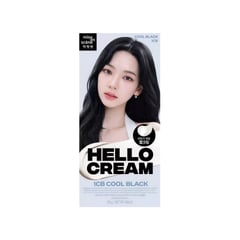 Mise En Scène Hello Cream Hair Color