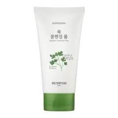 Skinfood Vege Garden Cleansing Foam