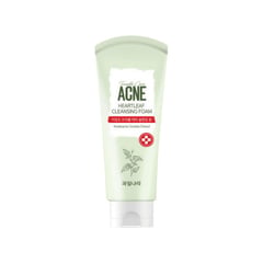 Kwailnara Gyejeol Dameun Heartleaf Trouble Care Cleansing Foam