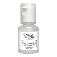 Garden of Wisdom Super Charged B-5 Anti-Oxidant Gel