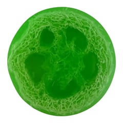 Soap Cute California Watermelon Natural Loofah Exfoliating Soap Bar