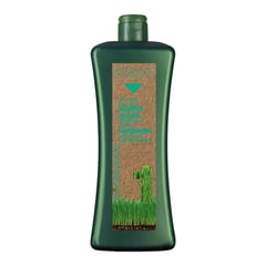 Salerm Biokera Natura Specific Oily Hair Shampoo