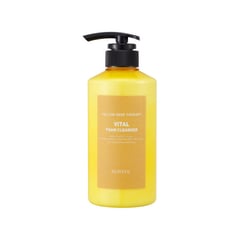 Eunyul Yellow Seed Therapy Vital Foam Cleanser
