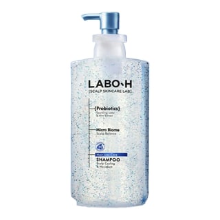 Labo-H Hair Loss Care Scalp Cooling & No Sebum Shampoo