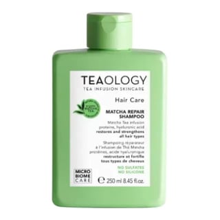 Teaology Skincare Matcha Repair Shampoo