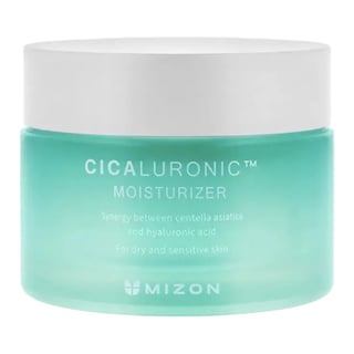 Mizon Cicaluronic Moisturizer
