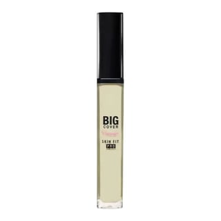 Etude House Big Cover Skin Fit Concealer Pro