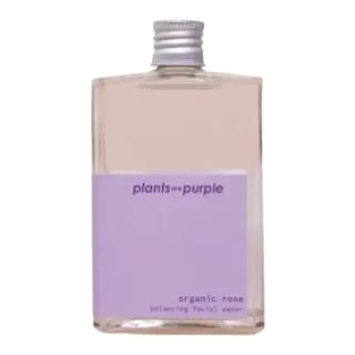 Plants are Purple Organic Rose