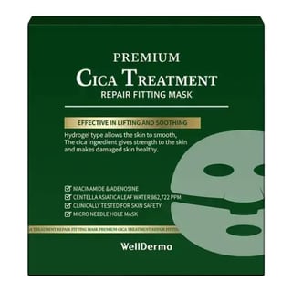 Wellderma Cica Treatment Repair Fitting Mask