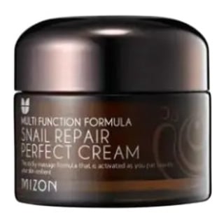 Mizon Snail Repair Perfect Cream