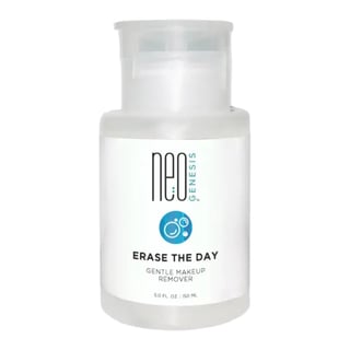 NeoGenesis Erase The Day