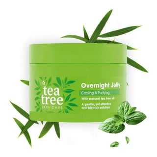 Tea Tree Cooling & Purifying Overnight Jelly