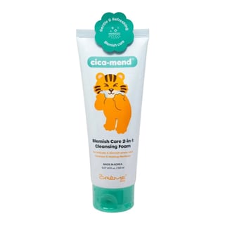 The Creme Shop Cica-Mend Blemish Care 2-In-1 Cleansing Foam
