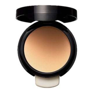 EX1 Cosmetics Invisiwear 蜜粉