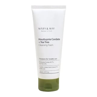Mary & May Houttuynia Cordata + Tea Tree Cleansing Foam