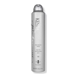 Kenra Heat Block Spray 22
