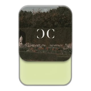 Seint Demi Corrector