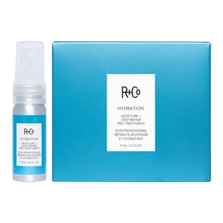 R+Co Hydration Moisture + Deep Repair Pro Treatment