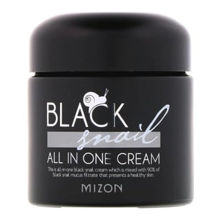 Mizon Black Snail All In One Cream