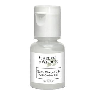 Garden of Wisdom Super Charged B-5 Anti-Oxidant Gel