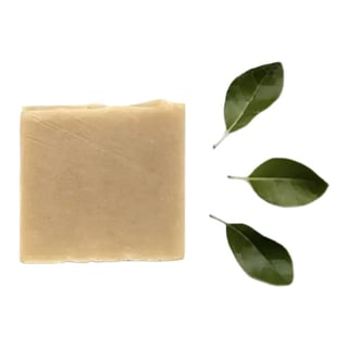 Klapotis Savon Délice De L’ourson