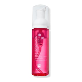 Andalou Naturals 1000 Roses Gentle Cleansing Foam
