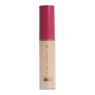 Eudora Niina Secrets Perfect Match Concealer