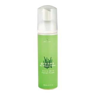 Anna Lotan Foam Purifying Cleanser