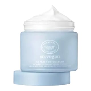 so natural So Vegan Ice Plant Water Cream