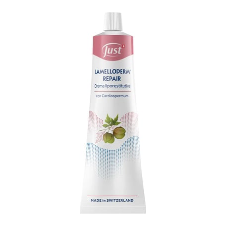 Just Lamelloderm Repair