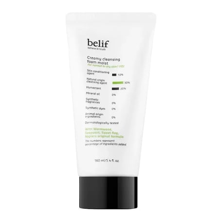 Belif Creamy Cleansing Foam Moist