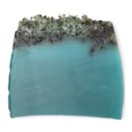 LUSH Sea Vegetable Soap