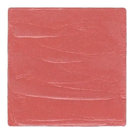 Salt New York Lip + Cheek