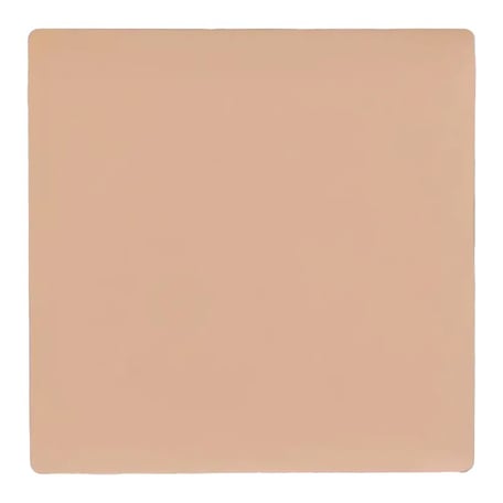 Salt New York Best Case Concealer