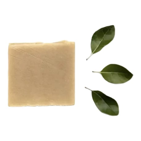 Klapotis Savon Délice De L’ourson