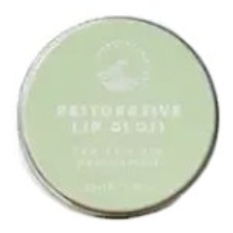 SunButter Restorative Lip Gloss