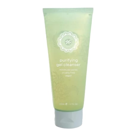 Honeybee Gardens Purifying Gel Cleanser