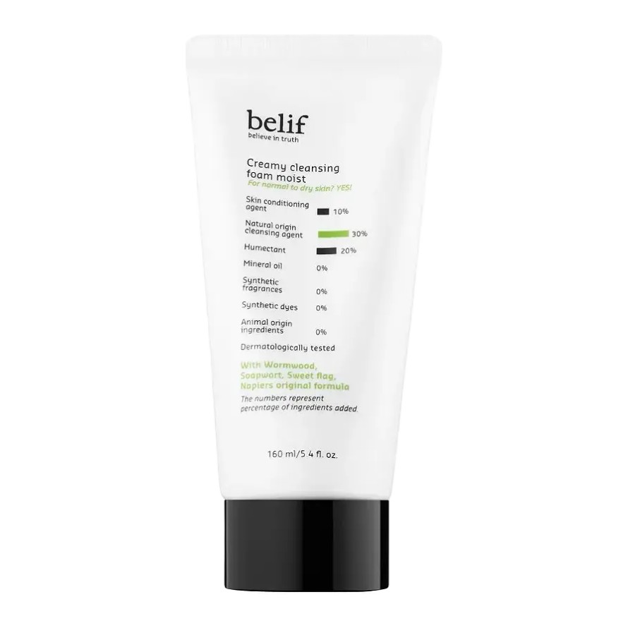 Belif Creamy Cleansing Foam Moist