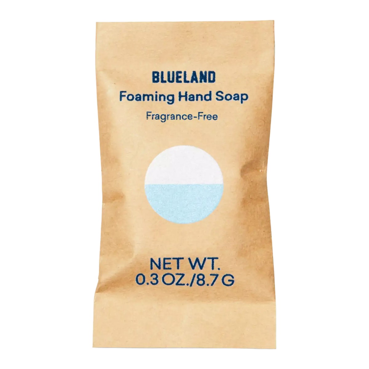 Blueland Foaming Hand Soap