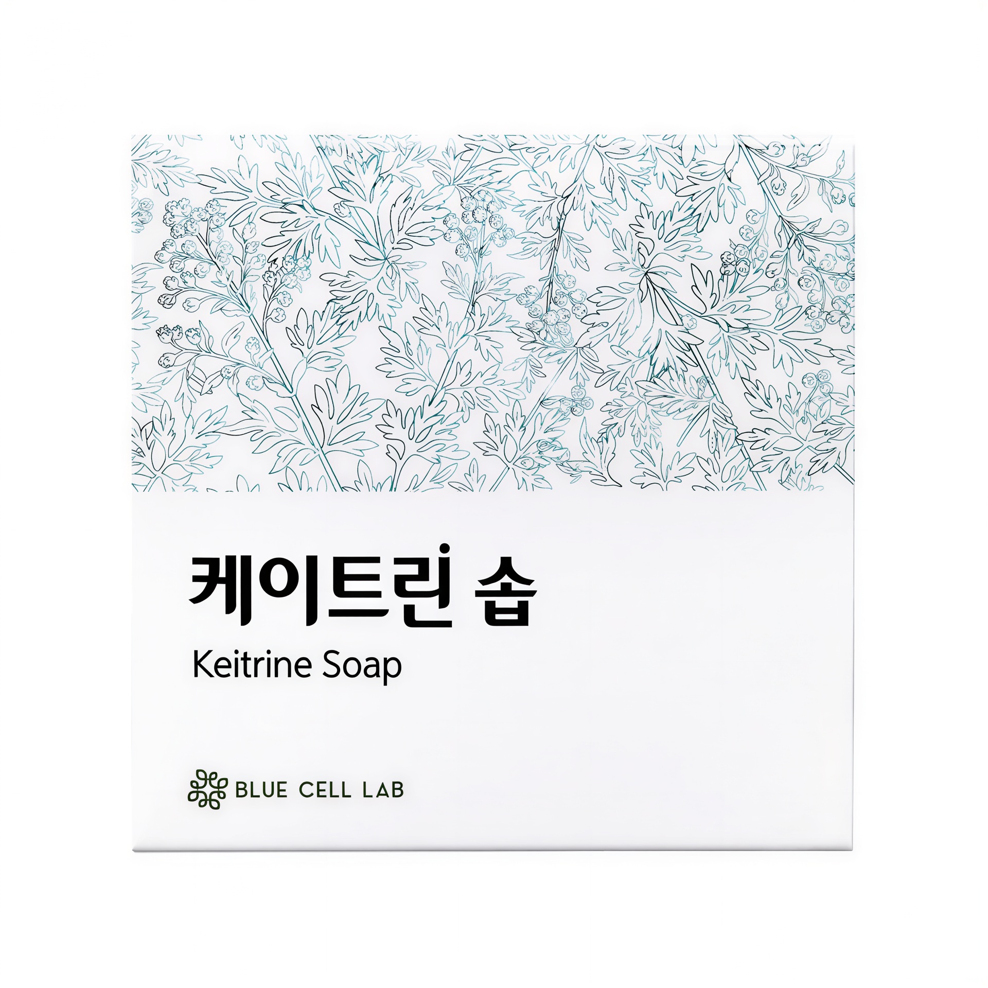 배가율 케이트린 솝
