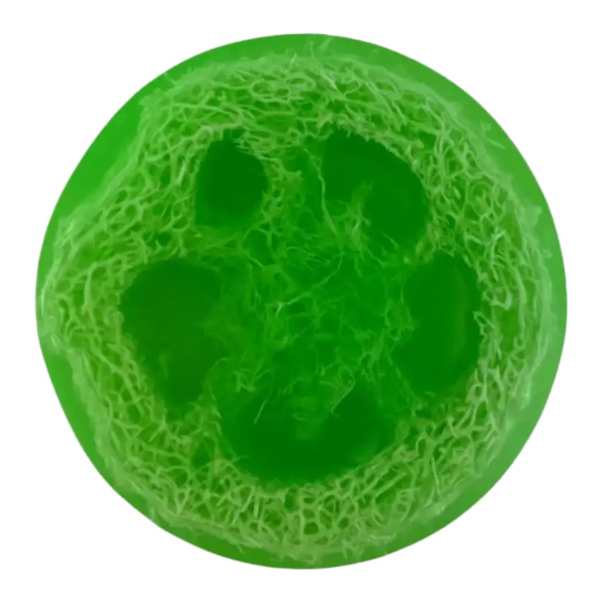 Soap Cute California Watermelon Natural Loofah Exfoliating Soap Bar
