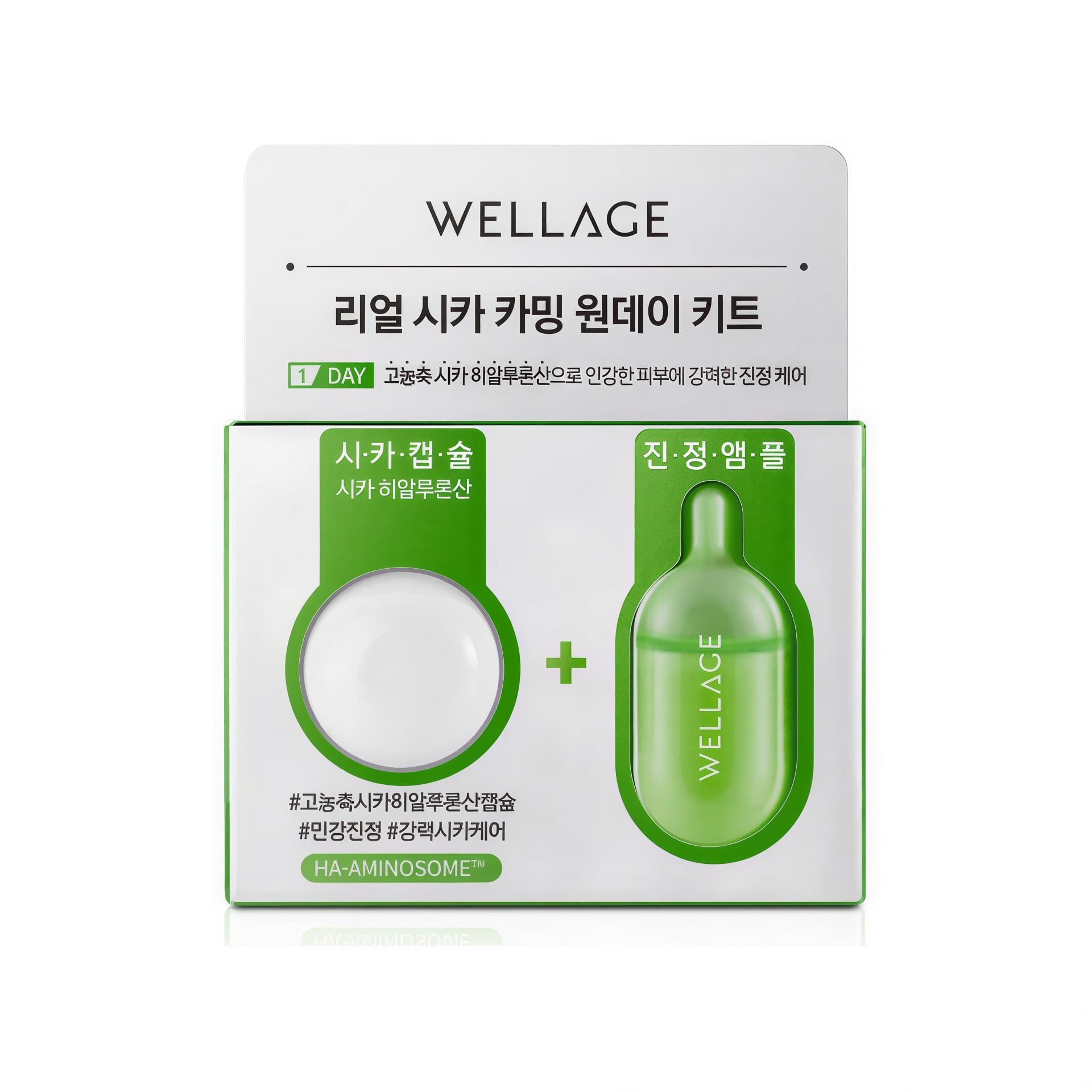 Wellage Real Cica Calming One-Day Kit