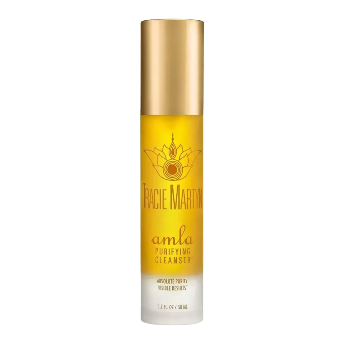 Tracie Martyn Amla Purifying Cleanser