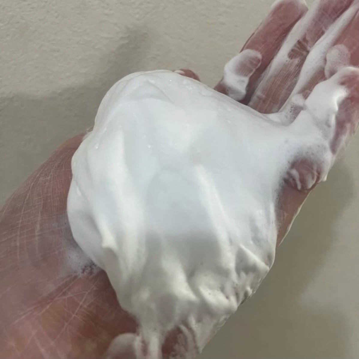 로제트 세안 파스타 사용자 리뷰 사진